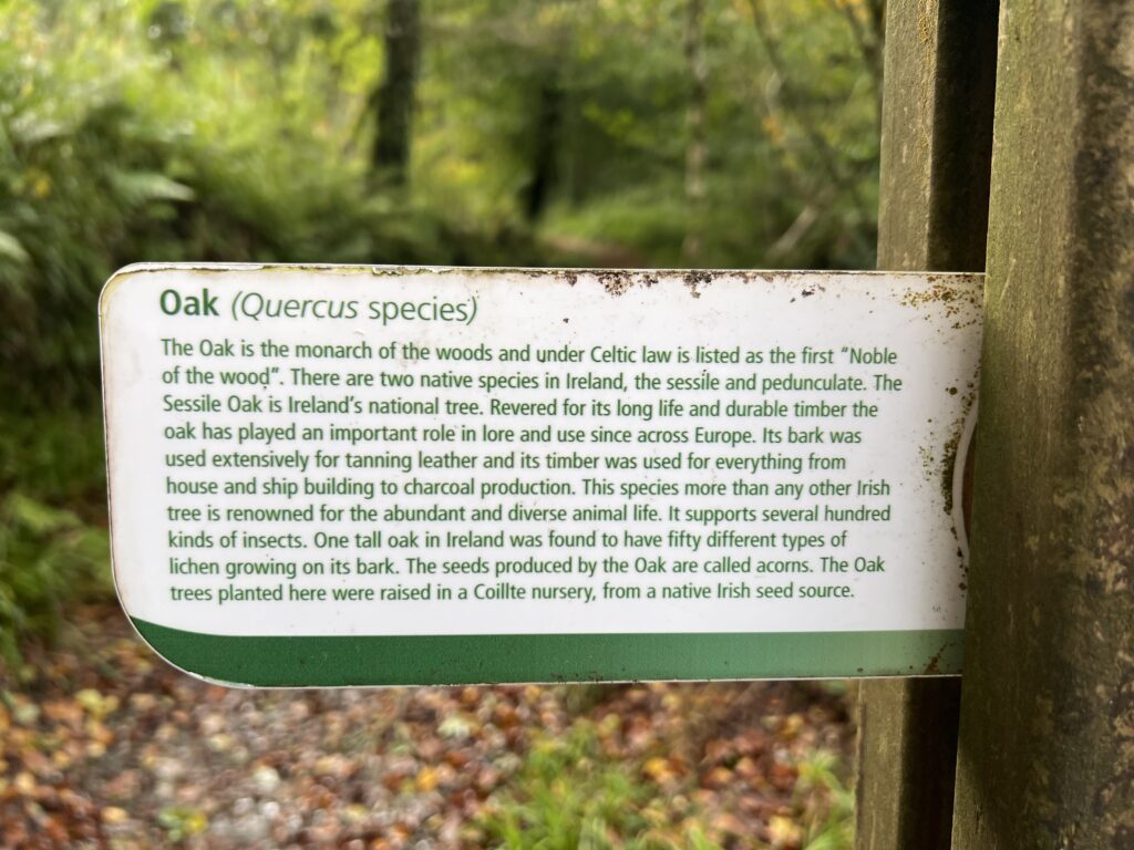 Information boards around Dromillihy Wood teach about the nature and history of the area.